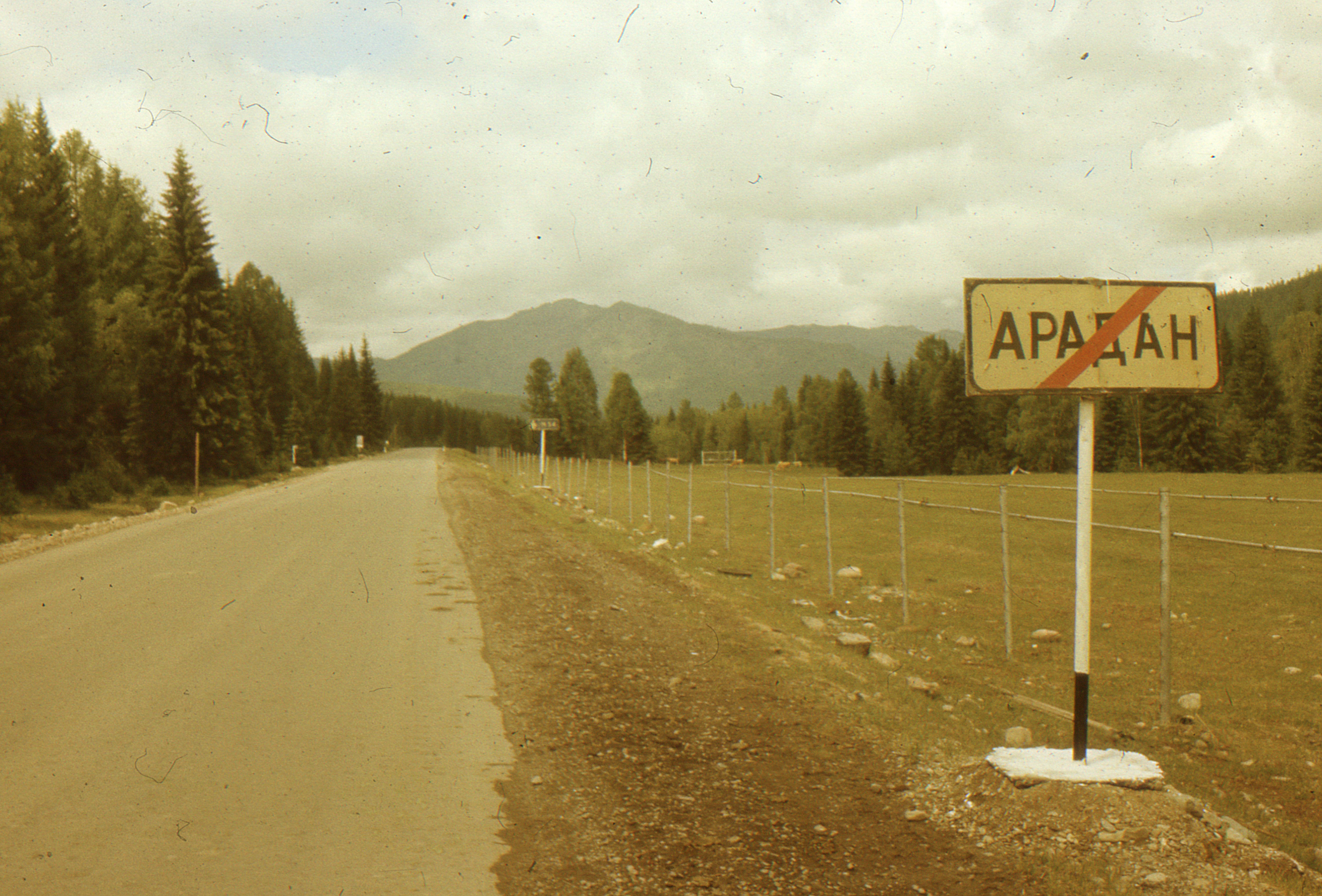 A vintage countryside road leading to a mountain, lined with trees and a road sign.