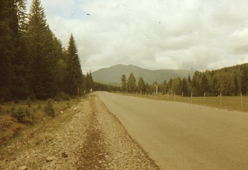 Бесплатное стоковое фото с горный пик, деревья, проселочная дорога