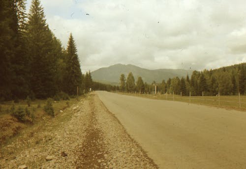 Gratis stockfoto met bergtop, bomen, foto