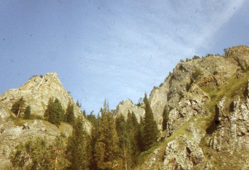 Free Dramatic rock formations and pine trees under a clear blue sky in a mountainous landscape. Stock Photo