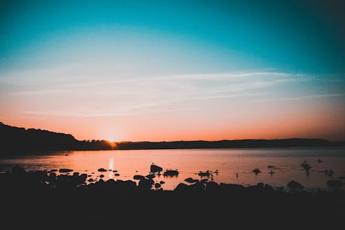 Δωρεάν στοκ φωτογραφιών με goldenhour, βαλίτσα, χρυσαφένιος