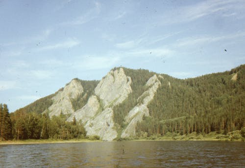 Vintage Photograph of Lake near Coniferous Trees