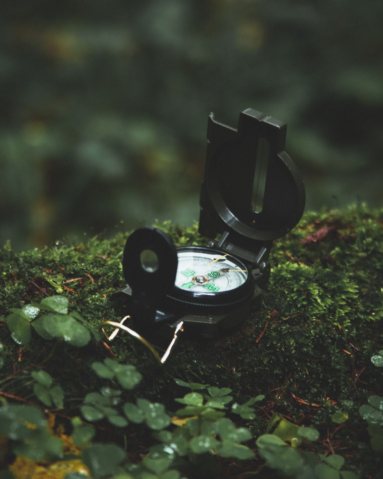 Compass resting on green moss in a forest representing choosing the right referral tool direction