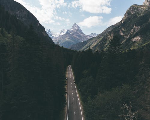 Landscape with Road in Forest in Valley