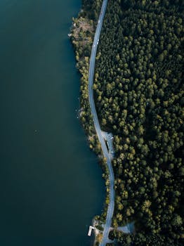 Drone shot capturing a winding road through dense forest adjacent to a serene lake