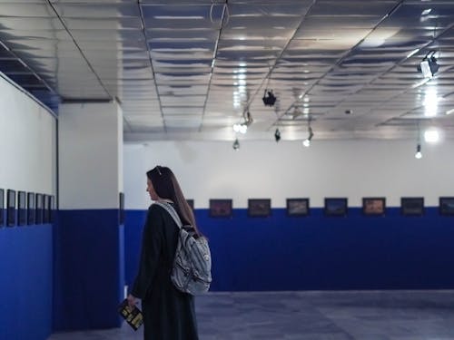 Free stock photo of art, art gallery, backpack