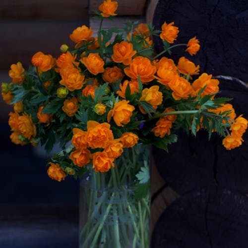 Free A Bouquet of Orange Flowers in Clear Glass Vase Stock Photo