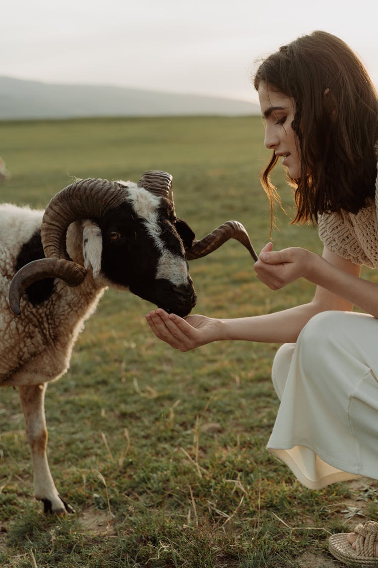 A Woman Touching A Ram