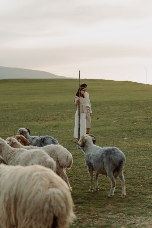 Free Two shepherds standing among sheep on a tranquil grassland during the day. Stock Photo