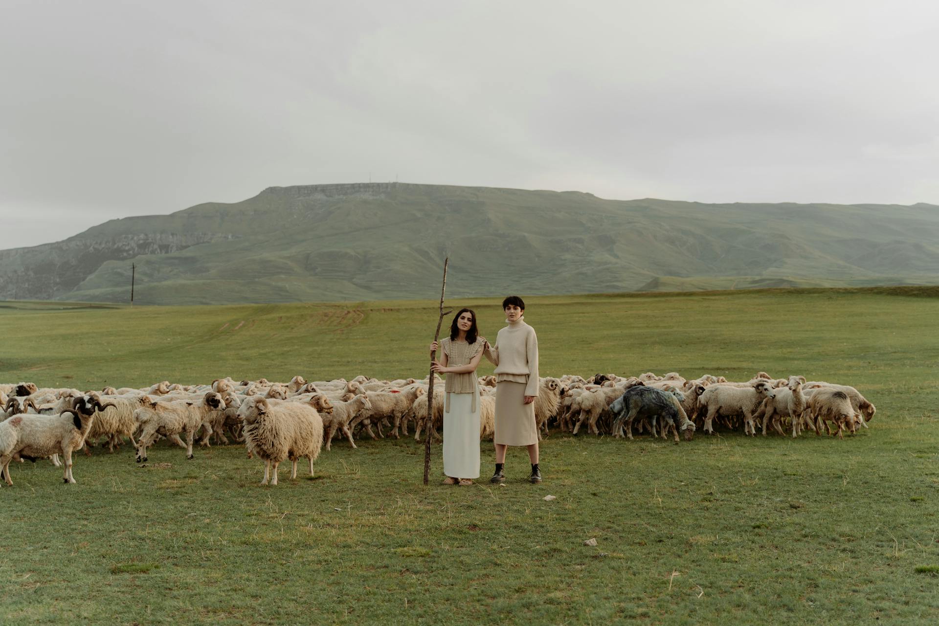 Female Shepherd near Sheeps