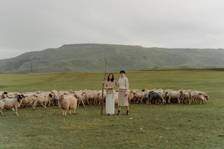 Female Shepherd Near Sheeps