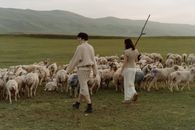 Women Pasturing the Flock of Sheep