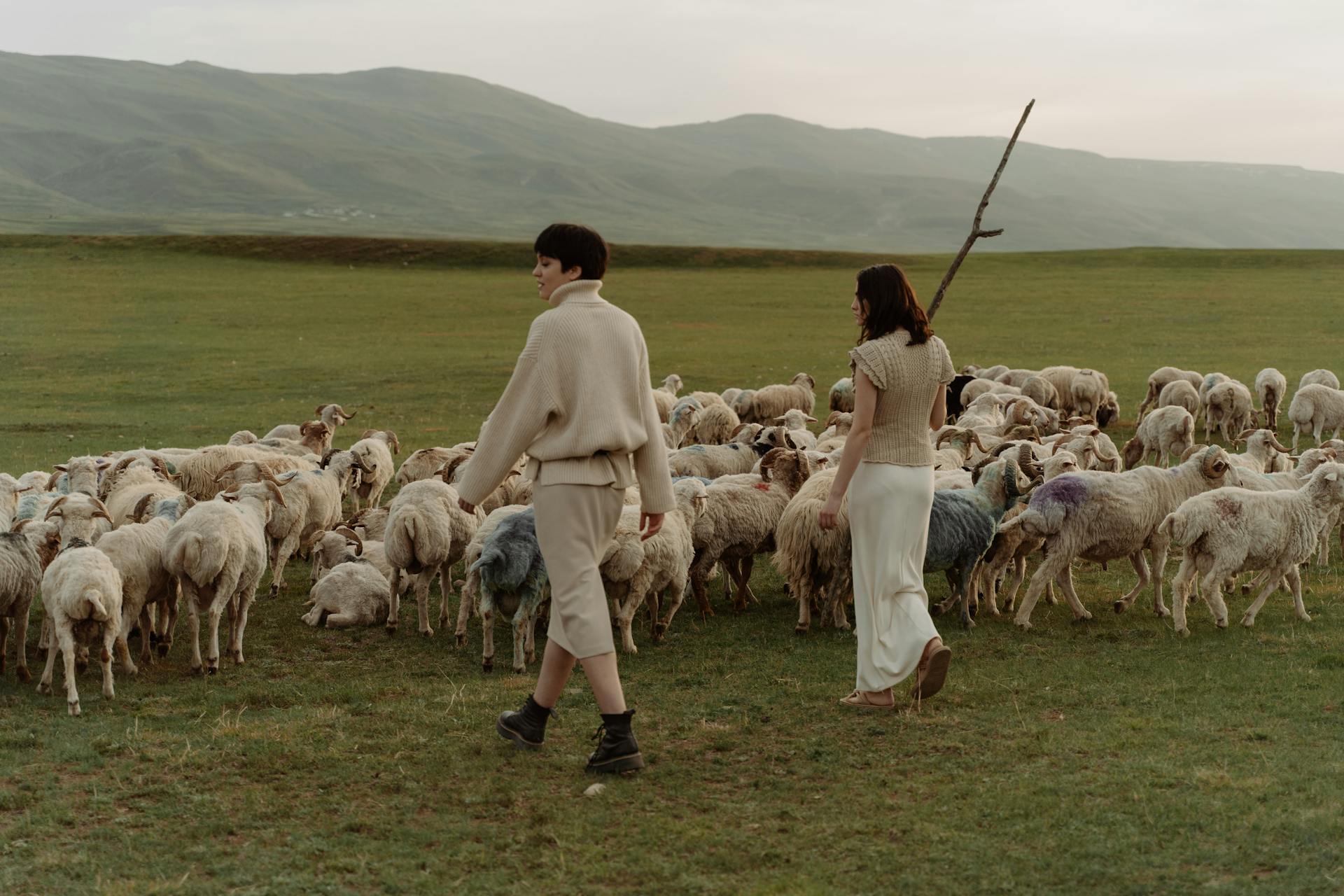 Women Pasturing the Flock of Sheep