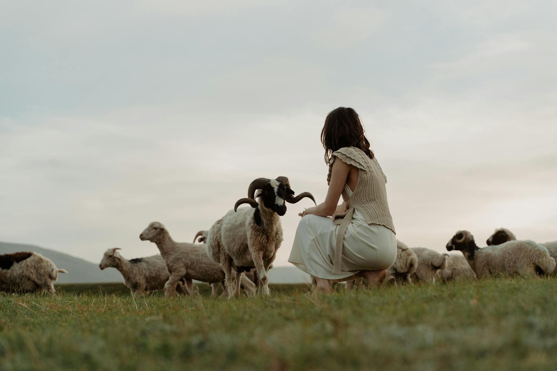 A Woman Squatting on Grass with a Flock of Sheep