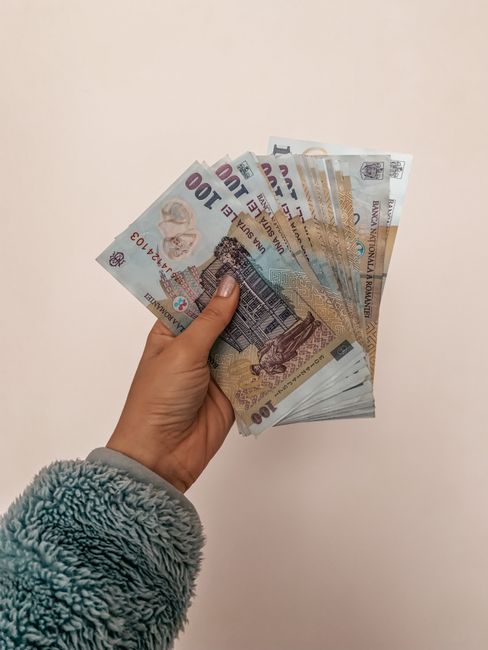 A person holding a fan of Romanian banknotes against a neutral backdrop, showcasing economy and finance.
