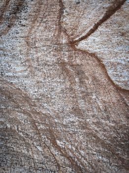 Detailed close-up of a frosty, textured tree bark displaying rough surface patterns.