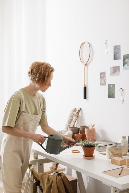 Free Woman tending to potted plants in a cozy, minimalist workspace. Stock Photo