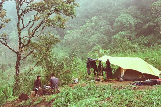 Two people enjoy a relaxing camping experience surrounded by lush greenery in a secluded forest area.