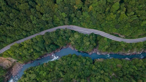 樹木, 河, 無人空拍機 的 免費圖庫相片