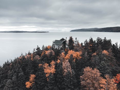 A secluded cabin nestled in a forest with autumn foliage by a peaceful lake.
