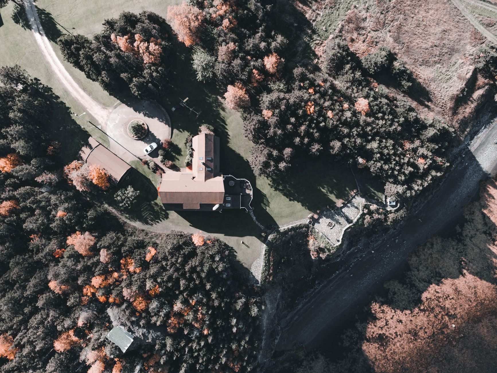 Aerial Shot of Houses Surrounded by Trees