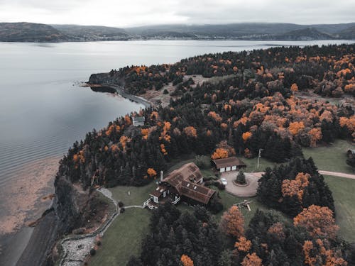 Free Aerial View of Coniferous Trees on Riverside  Stock Photo