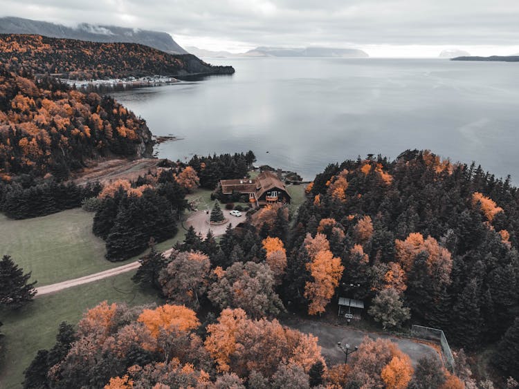 Aerial View Of Trees And House On Lakeshore