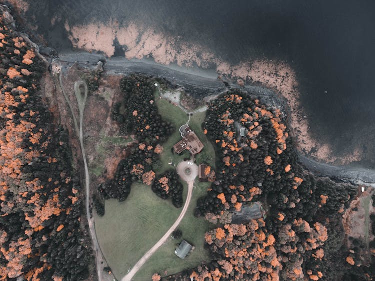 Drone Shot Of Trees And House On Lakeshore