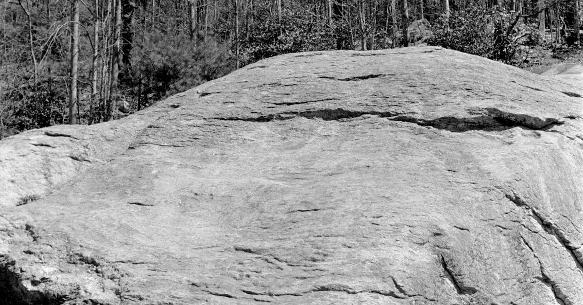 Big Rock Formation Near Trees · Free Stock Photo