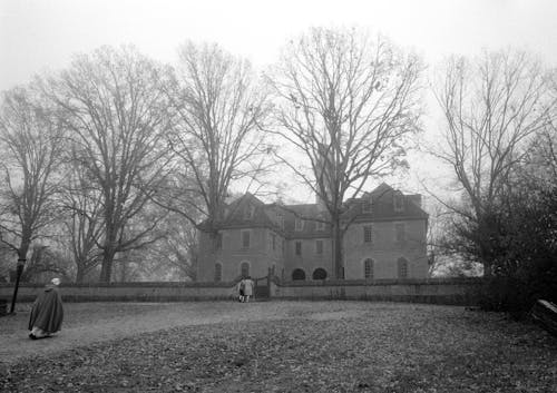 Grayscale Photo of Bare Trees In Front of a Building