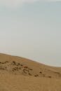 Brown Sand Under White Sky