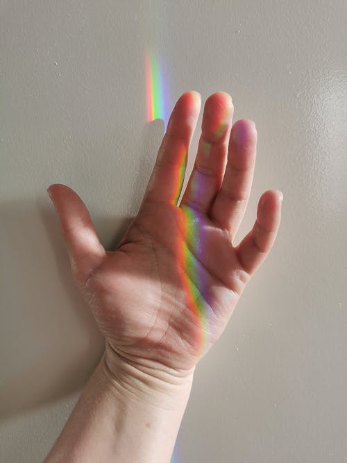 Rainbow Light on a Palm 