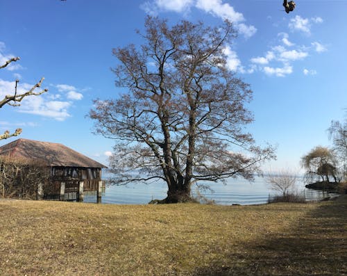 Free stock photo of lago, neuchã tel, puerto privado