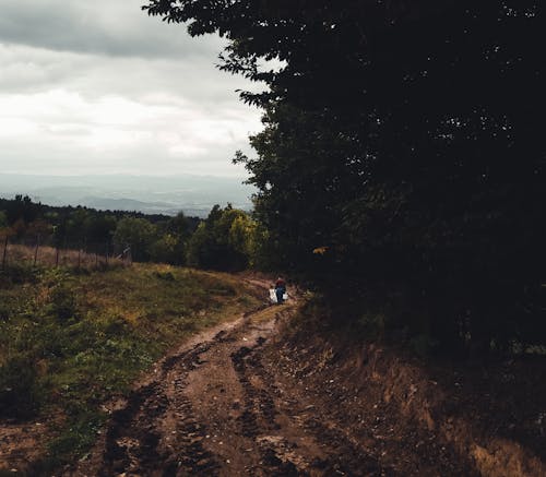 A Person Walking on a Muddy Walkway