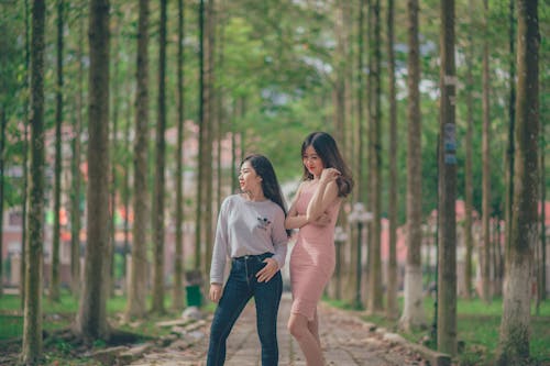 Free Woman in Pencil Dress Beside Woman in Gray Sweatshirt and Blue Jeans Standing on Pathway Stock Photo