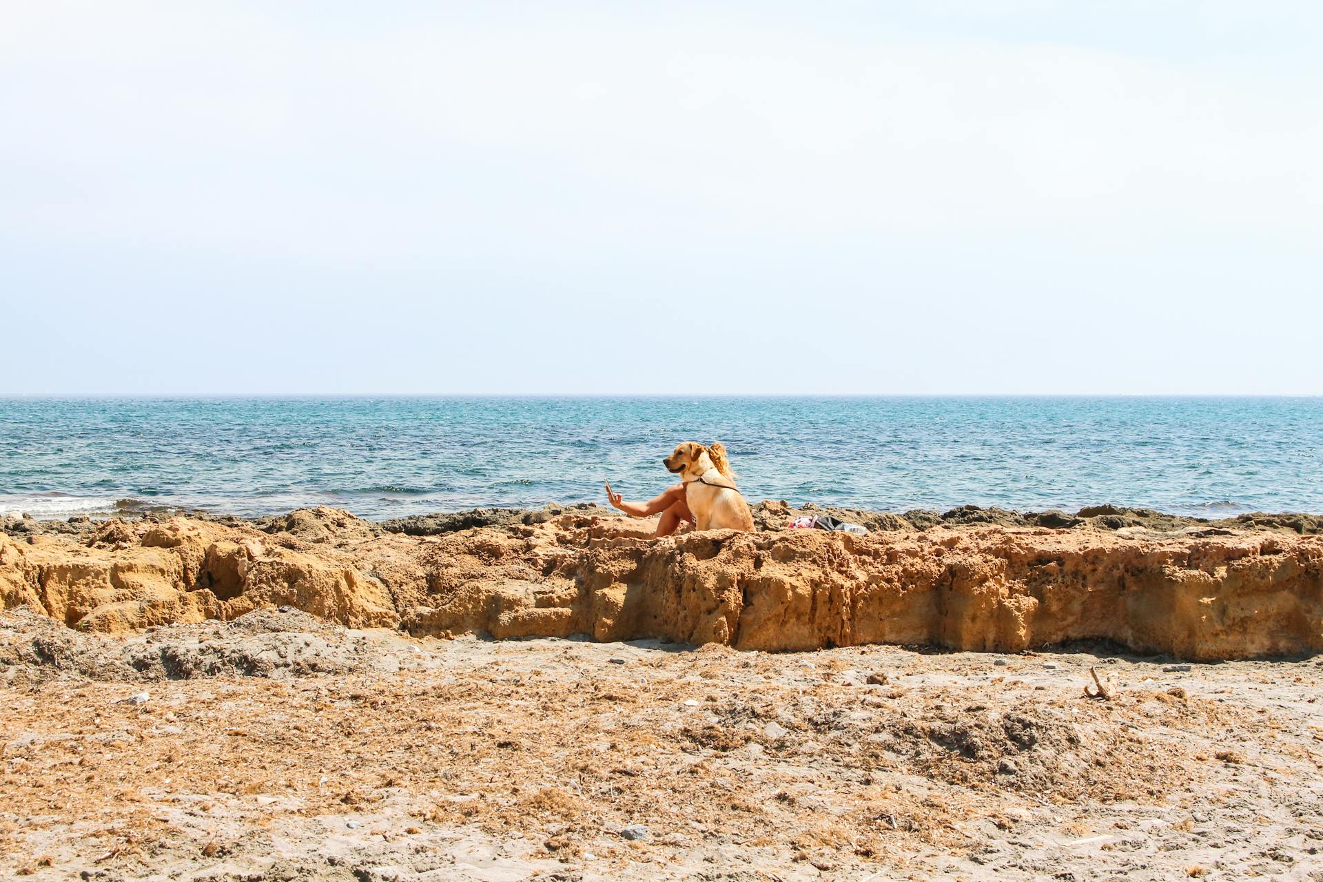 Photo of Open Sea Near Brown Land