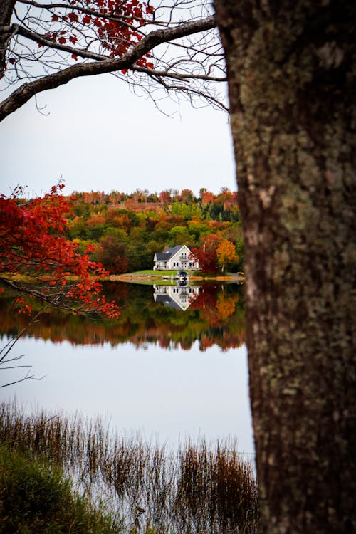 Free stock photo of country house, lake
