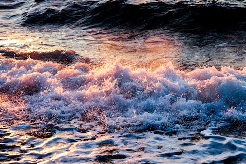Free stock photo of beach waves, rainbow, water