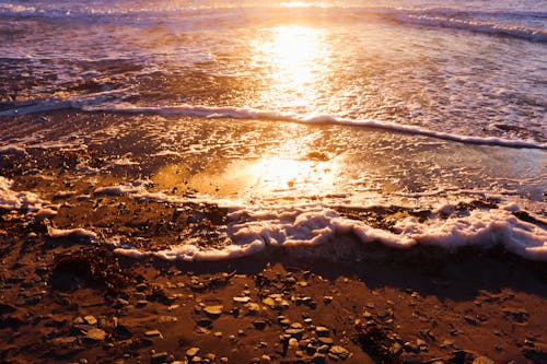 Free stock photo of beach, beach sunset, beautiful sunset