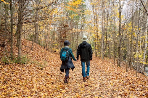 A Couple Holding Each Others Hands while Walking on a Forest Park with Dried Leaves on the Ground