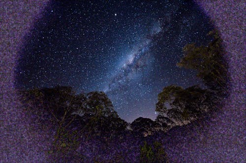 ağaçlar, astronomi, dar açılı çekim içeren Ücretsiz stok fotoğraf