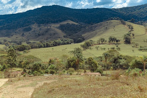 Fotos de stock gratuitas de arboles, campo, cerros