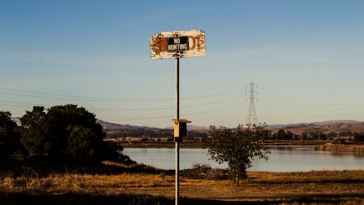 A Tall No Hunting Sign 