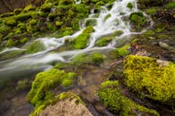 宁静的瀑布、长满青苔的岩石和流畅的水流，营造出自然的氛围