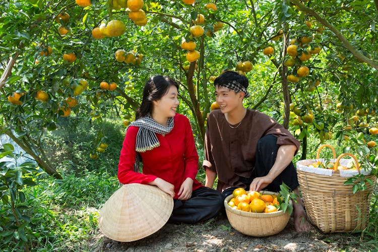 Man And Woman Sitting Under The Orange Tree