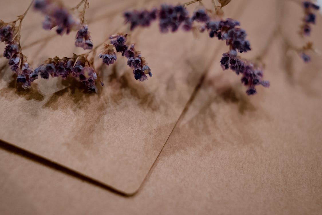 Shallow Photography of Purple Flowers