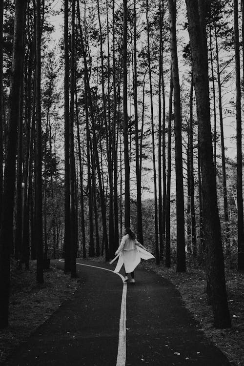 Free Woman Spinning Around on Road in Forest  Stock Photo