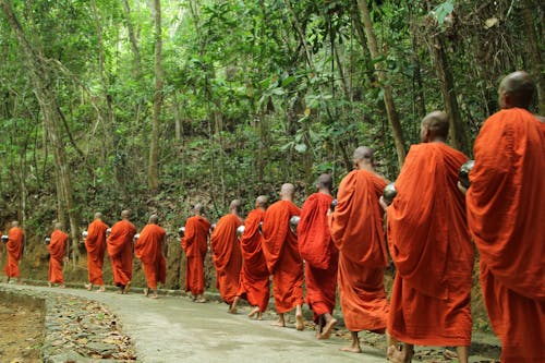 Fotobanka s bezplatnými fotkami na tému almužna, ázijský, Buddha