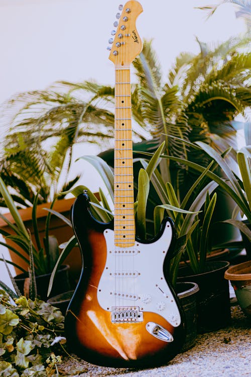 Brown and White Stratocaster Electric Guitar on Green Plants 