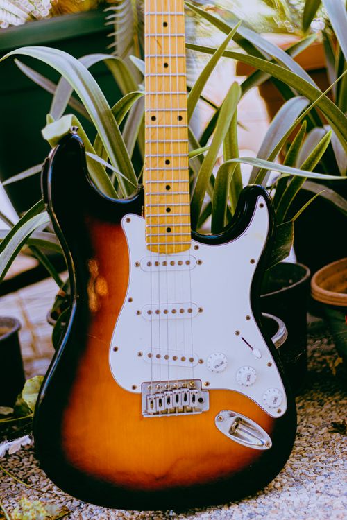 Free Close-up of an electric guitar set amidst vibrant green plants. Stock Photo